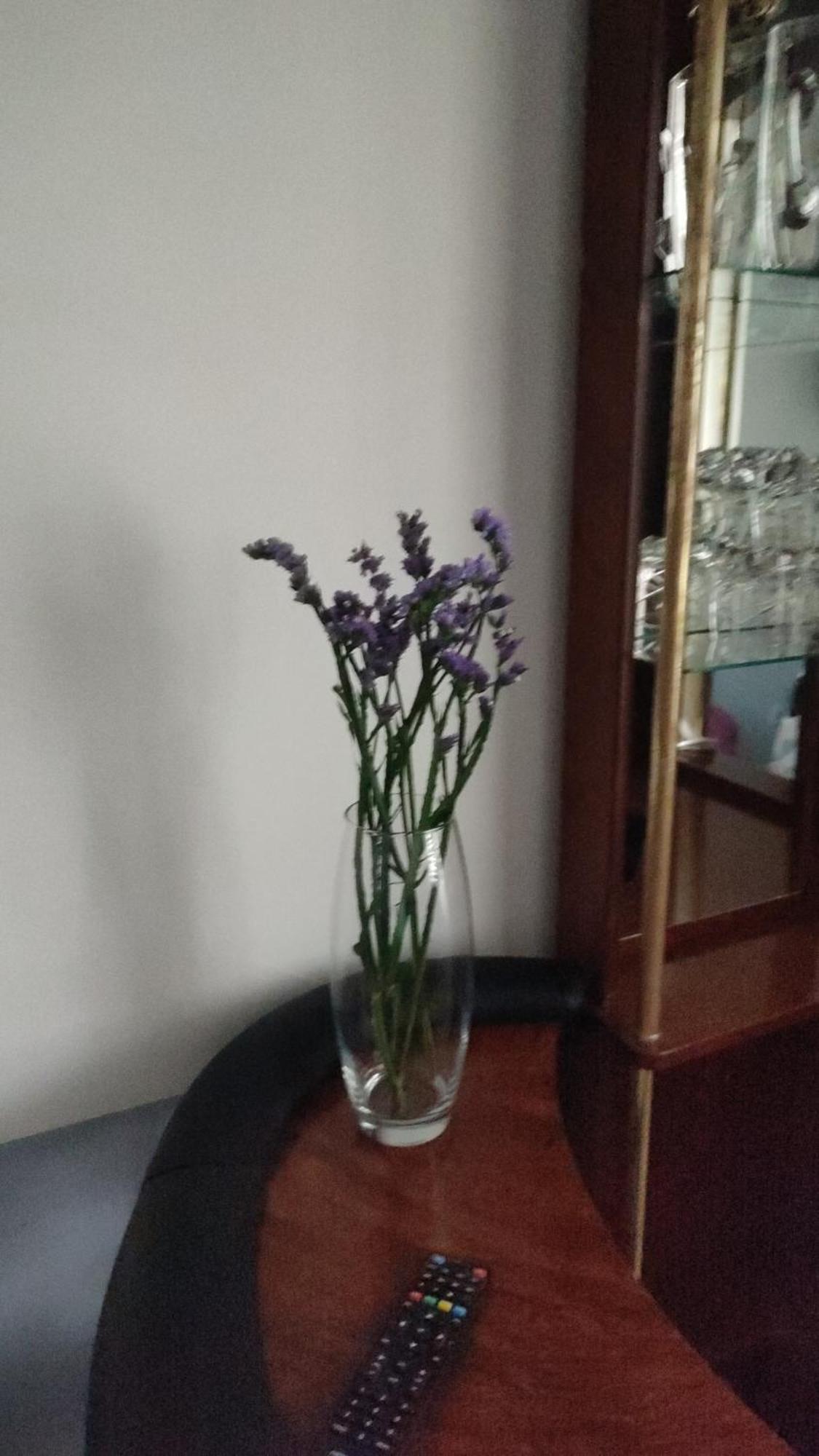 Apartament Grana Medrano *